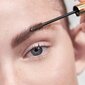 Gelis antakiams Anastasia Beverly Hills Dipbrow Gel Ebony, Ryški ruda kaina ir informacija | Antakių dažai, pieštukai | pigu.lt