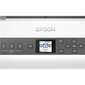 Epson B11B259401 kaina ir informacija | Skeneriai | pigu.lt