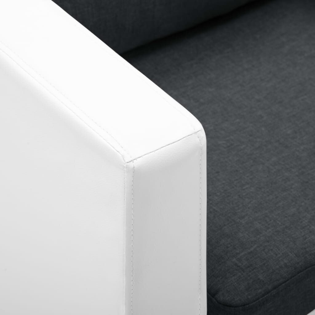Dvivietė sofa, dirbtinė oda, baltos ir tamsiai pilkos spalvos kaina ir informacija | Sofos | pigu.lt