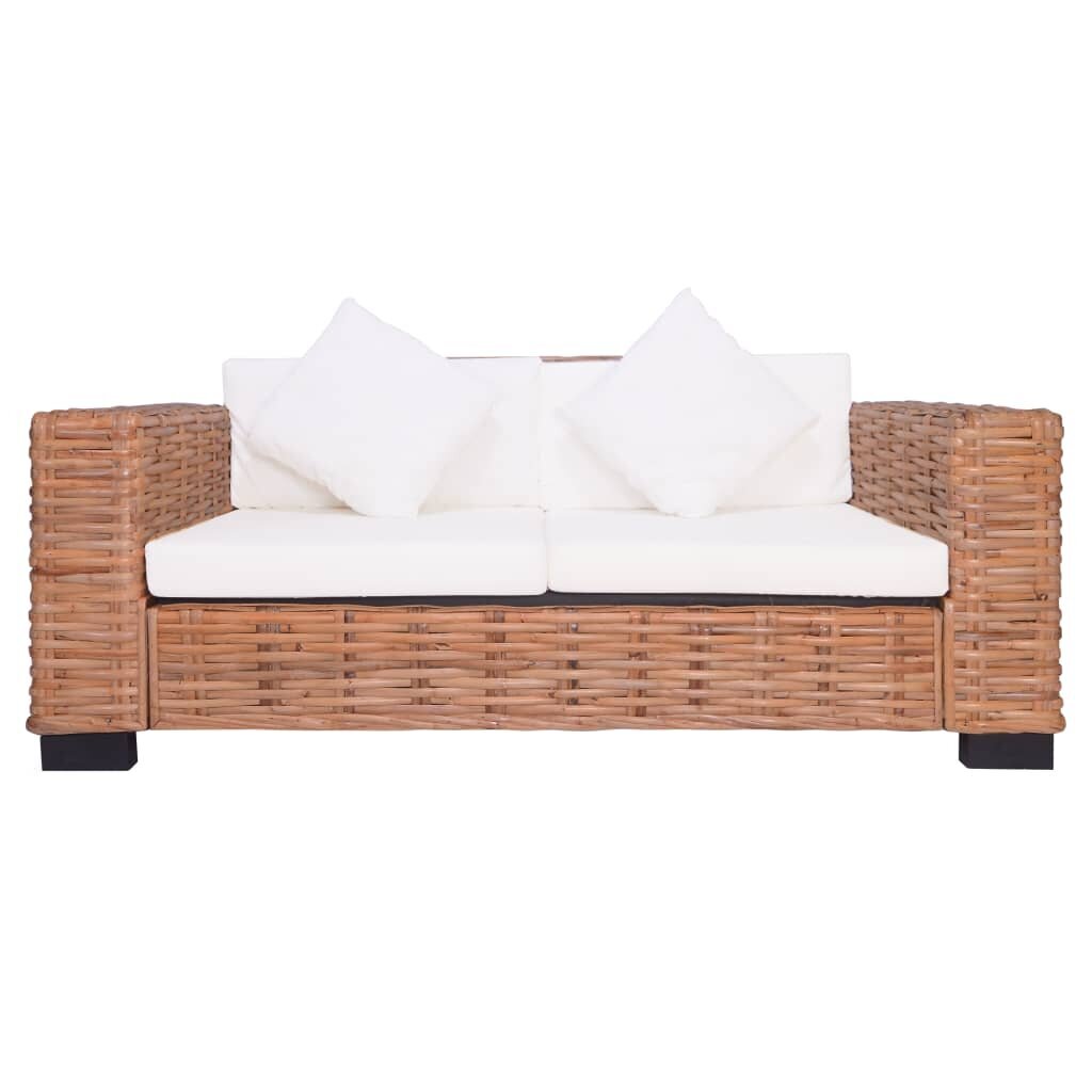 Sofos komplektas su pagalvėlėmis, 2d., natūr. spalvos, ratanas kaina ir informacija | Minkštų baldų komplektai | pigu.lt