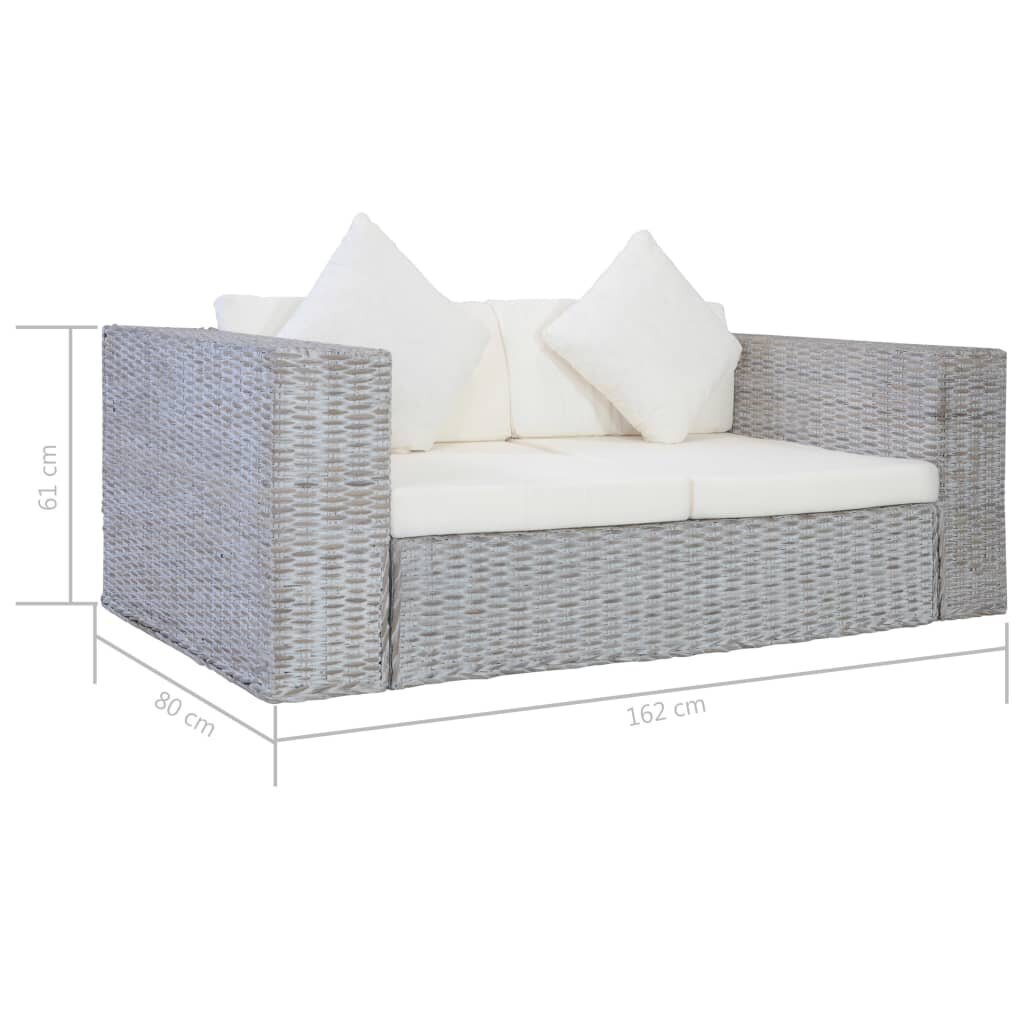 Dvivietė sofa su pagalvėlėmis, pilka kaina ir informacija | Sofos | pigu.lt