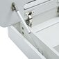Veidrodinė vonios spintelė su LED apšvietimu, 80x9,5x55 cm kaina ir informacija | Vonios spintelės | pigu.lt
