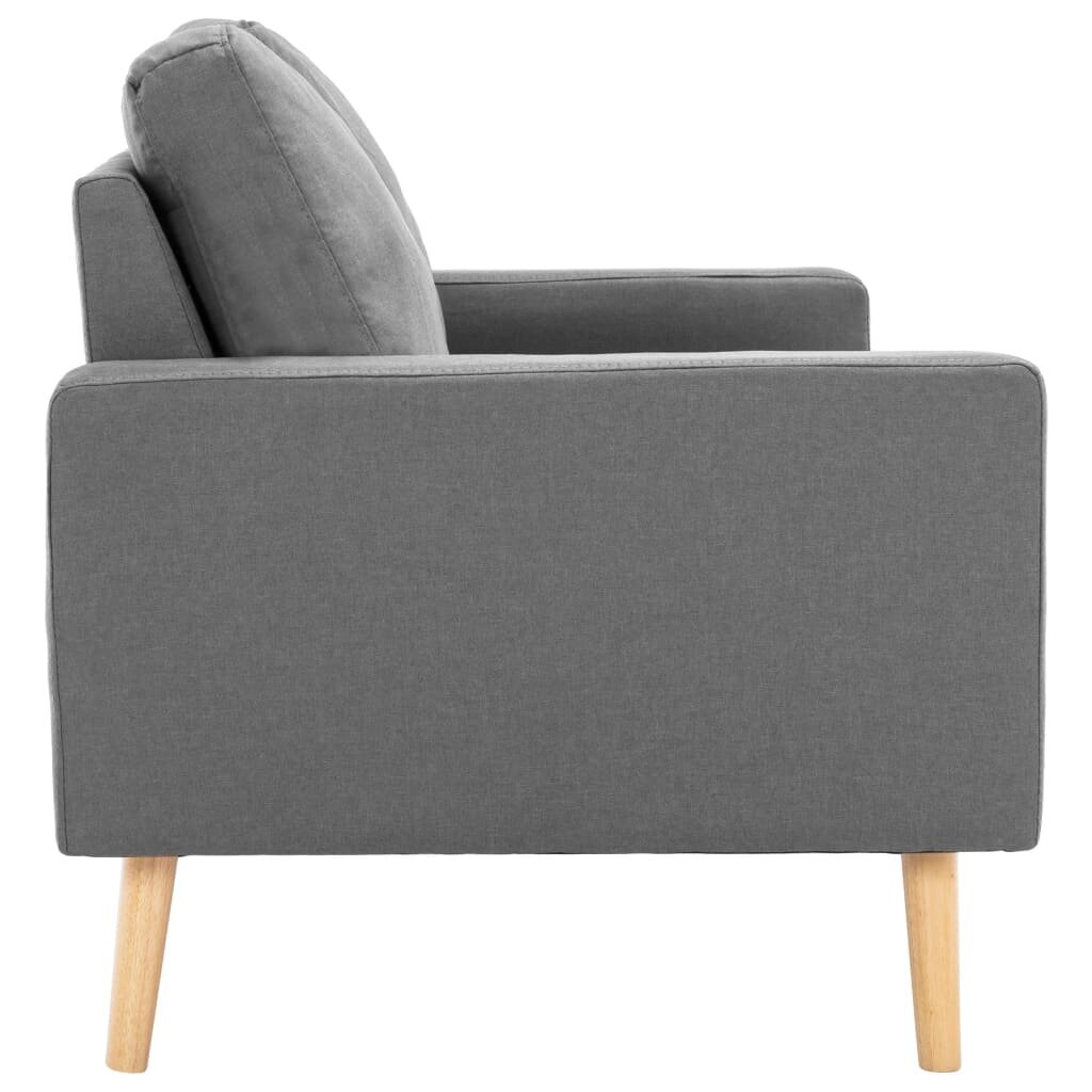 Dvivietė sofa, pilka kaina ir informacija | Sofos | pigu.lt