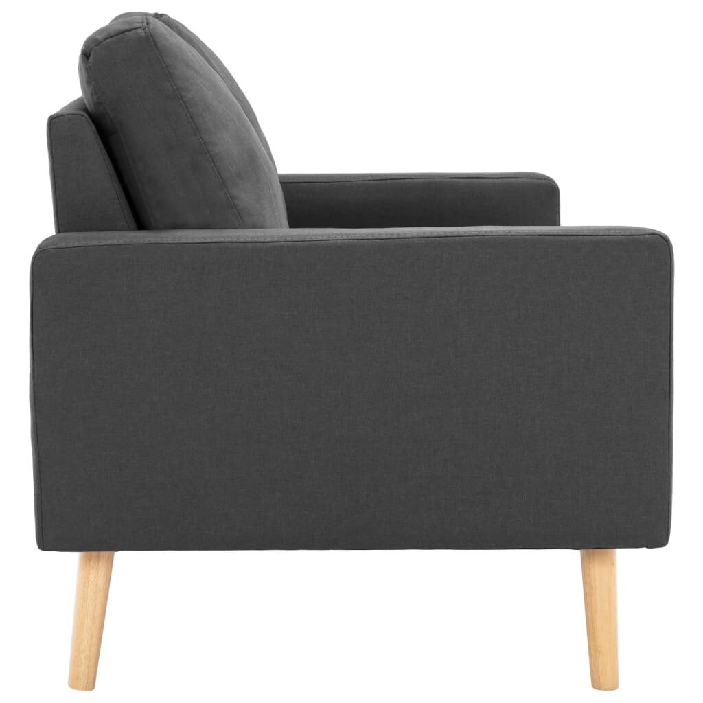 Dvivietė sofa, pilka kaina ir informacija | Sofos | pigu.lt