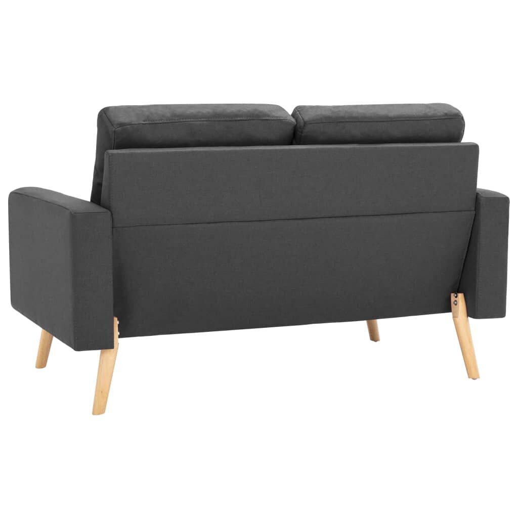 Dvivietė sofa, pilka kaina ir informacija | Sofos | pigu.lt