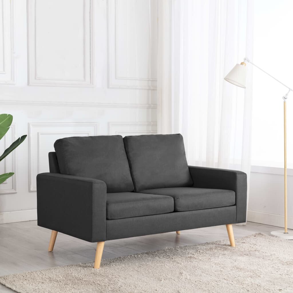 Dvivietė sofa, pilka kaina ir informacija | Sofos | pigu.lt