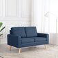Dvivietė sofa, mėlyna kaina ir informacija | Sofos | pigu.lt