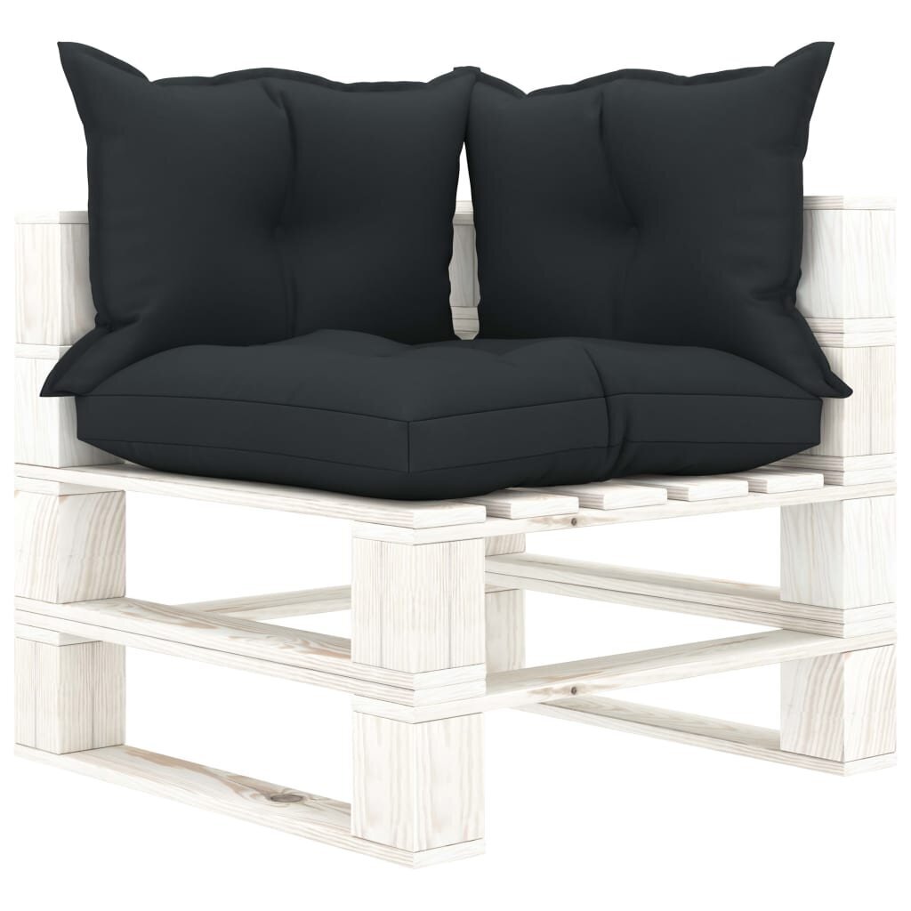 Dvivietė vidaXL sodo sofa su juodomis pagalvėmis kaina ir informacija | Lauko kėdės, foteliai, pufai | pigu.lt