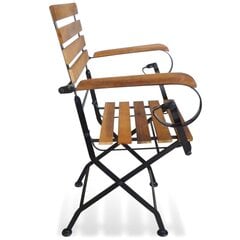 Sulankstomos sodo kėdės, 2 vnt., rudos kaina ir informacija | Lauko kėdės, foteliai, pufai | pigu.lt