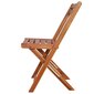 Lauko bistro kėdės, 2 vnt., rudos kaina ir informacija | Lauko kėdės, foteliai, pufai | pigu.lt