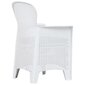 Sodo kėdės su pagalvėlėmis, 2 vnt., baltos kaina ir informacija | Lauko kėdės, foteliai, pufai | pigu.lt