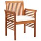 Sodo valgomojo kėdės su pagalvėlėmis, 2 vnt., rudos kaina ir informacija | Lauko kėdės, foteliai, pufai | pigu.lt