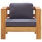 Sodo krėslas su pagalvėle, pilkas kaina ir informacija | Lauko kėdės, foteliai, pufai | pigu.lt