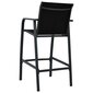 Sodo baro kėdės, 2 vnt, juodos kaina ir informacija | Lauko kėdės, foteliai, pufai | pigu.lt