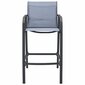 Sodo baro kėdės, 2 vnt, pilkos kaina ir informacija | Lauko kėdės, foteliai, pufai | pigu.lt