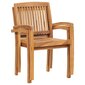 Sudedamos sodo valgomojo kėdės, 2vnt., tikmedžio masyvas kaina ir informacija | Lauko kėdės, foteliai, pufai | pigu.lt