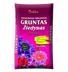 Augalingas organinis gruntas žiedynas Agronomo patarimas 16 l kaina ir informacija | Agronomo patarimas Sodo prekės | pigu.lt