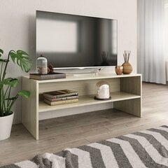 Televizoriaus spintelė, 100x40x40 cm kaina ir informacija | TV staliukai | pigu.lt