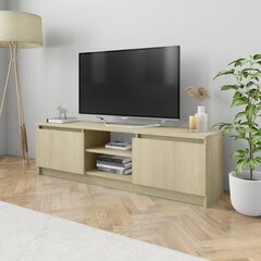 Televizoriaus spintelė, 120x30x35,5cm, ruda kaina ir informacija | TV staliukai | pigu.lt