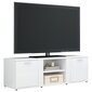 Televizoriaus spintelė, 120x34x37cm, balta kaina ir informacija | TV staliukai | pigu.lt