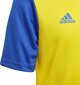 Treniruočių marškinėliai Adidas Estro 19 Jersey Junior, geltoni, 128cm kaina ir informacija | Futbolo apranga ir kitos prekės | pigu.lt