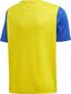 Treniruočių marškinėliai Adidas Estro 19 Jersey Junior, geltoni, 128cm kaina ir informacija | Futbolo apranga ir kitos prekės | pigu.lt