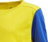 Treniruočių marškinėliai Adidas Estro 19 Jersey Junior, geltoni, 128cm kaina ir informacija | Futbolo apranga ir kitos prekės | pigu.lt