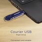 Integral Courier 128GB USB 2.0 kaina ir informacija | USB laikmenos | pigu.lt