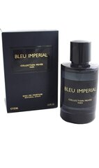 Prafumuotas vanduo Geparlys Blue Imperial EDP vyrams, 100 ml kaina ir informacija | Kvepalai vyrams | pigu.lt