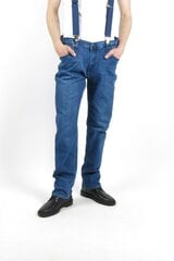 Джинсы BLK JEANS 83939000304219815-31/32 цена и информация | Мужские джинсы | pigu.lt