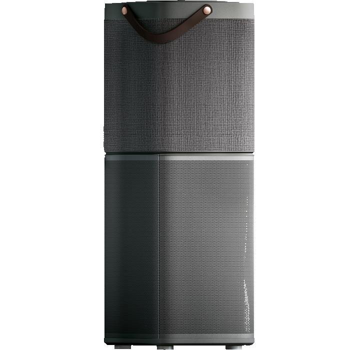 Oro valytuvas Electrolux PA91-604DG цена и информация | Oro valytuvai | pigu.lt