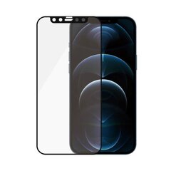 PanzerGlass New Apple iPhone 6.7” Case цена и информация | Google Pixel 3a - 3mk FlexibleGlass Lite™ защитная пленка для экрана | pigu.lt