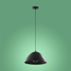 TK Lighting подвесной светильник Faro 3194 цена и информация | Люстры | pigu.lt