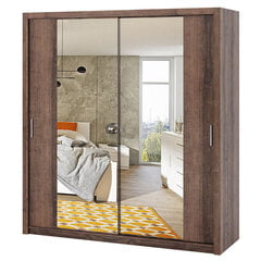 Шкаф с зеркалом Selsey Rinker 200 см, темно-коричневый цена и информация | Шкафы | pigu.lt