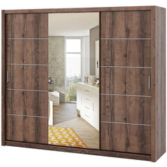 Шкаф с зеркалом Selsey Rinker 250 см, темно-коричневый цена и информация | Шкафы | pigu.lt