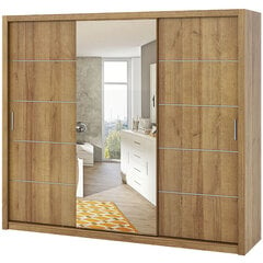 Шкаф Selsey Rinker с зеркалом, 250 см, бежевого цвета цена и информация | Шкафы | pigu.lt