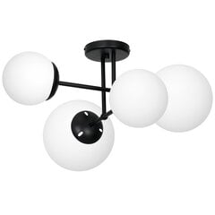 Потолочный светильник LIMA BLACK 2xE14 цена и информация | Потолочные светильники | pigu.lt