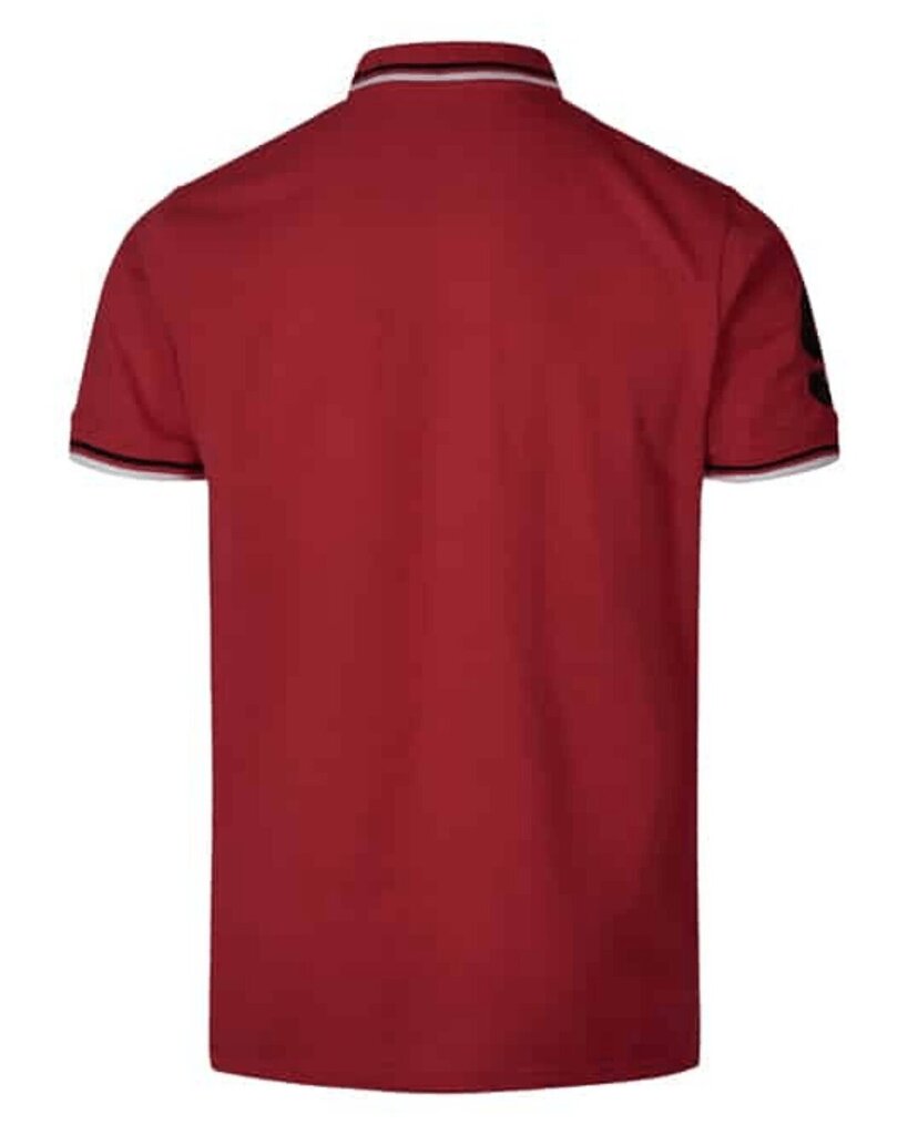 Polo marškinėliai Guiding Cairns цена и информация | Vyriški apatiniai marškinėliai | pigu.lt