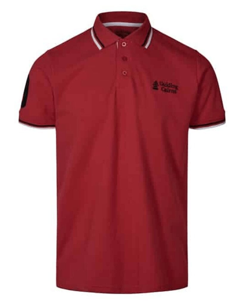Polo marškinėliai Guiding Cairns цена и информация | Vyriški apatiniai marškinėliai | pigu.lt