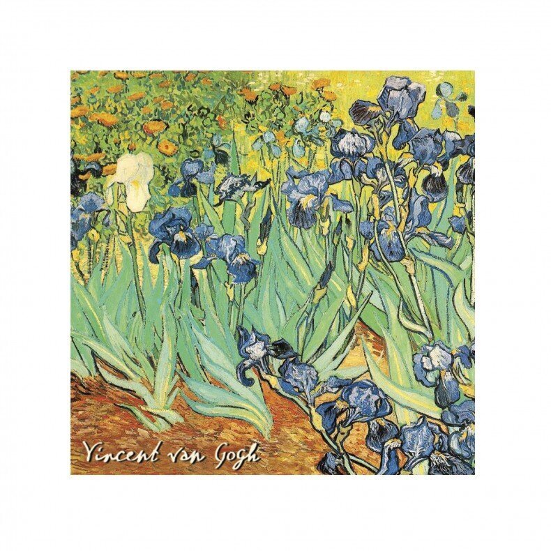 Aromatinis maišelis Le Blanc, Vincent van Gogh iriso aromatas 8g kaina ir informacija | Namų kvapai | pigu.lt