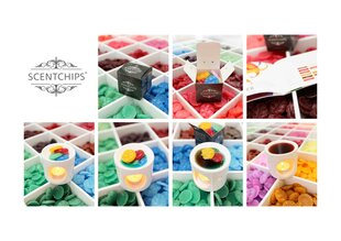 Aromatinio vaško rinkinys Scentchips, rožių aromatas 80 g kaina ir informacija | Žvakės, Žvakidės | pigu.lt