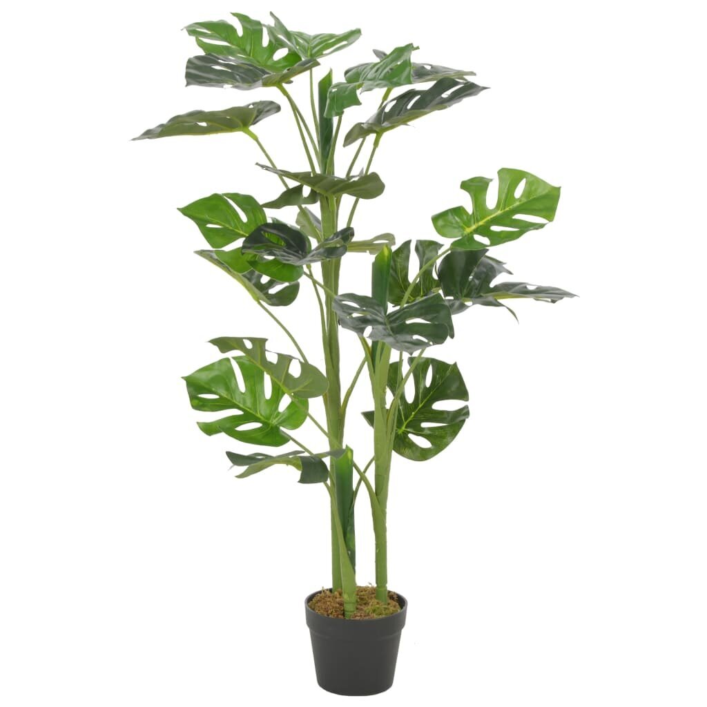 Dirbtinis augalas monstera su vazonu, 100 cm цена и информация | Dirbtinės gėlės | pigu.lt