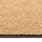 Durų kilimėlis, 60x90cm, rudas kaina ir informacija | Durų kilimėliai | pigu.lt