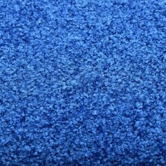 Durų kilimėlis, 90x150cm, mėlynas цена и информация | Придверные коврики | pigu.lt
