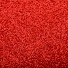 Durų kilimėlis, 120x180cm, raudonas цена и информация | Придверные коврики | pigu.lt