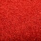 Durų kilimėlis, 60x90cm, raudonas kaina ir informacija | Durų kilimėliai | pigu.lt