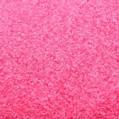 Durų kilimėlis, 40x60cm, rožinis цена и информация | Придверные коврики | pigu.lt