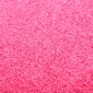 Durų kilimėlis, 40x60cm, rožinis цена и информация | Durų kilimėliai | pigu.lt