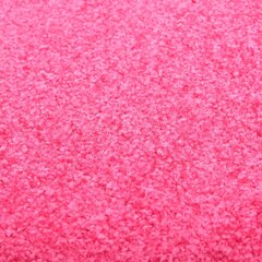 Durų kilimėlis, 90x150cm, rožinis цена и информация | Придверные коврики | pigu.lt