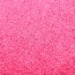 Durų kilimėlis, 90x150cm, rožinis kaina ir informacija | Durų kilimėliai | pigu.lt